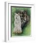 Misunderstood-Barbara Keith-Framed Giclee Print