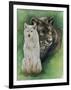 Misunderstood-Barbara Keith-Framed Giclee Print