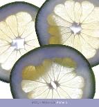 Pomelo-Mitch Hughes-Laminated Art Print