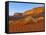 Mitchell Mesa at Sunrise in Monument Valley Navajo Tribal Park, Arizona and Utah State Line, Usa-Chuck Haney-Framed Stretched Canvas