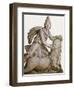 Mithras Slaying the Great Bull-Science Source-Framed Premium Giclee Print