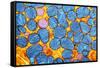 Mitochondria, TEM-null-Framed Stretched Canvas