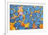 Mitochondria, TEM-null-Framed Photographic Print