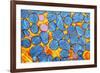 Mitochondria, TEM-null-Framed Photographic Print