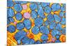 Mitochondria, TEM-null-Mounted Photographic Print