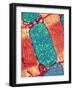 Mitochondrion, TEM-Thomas Deerinck-Framed Photographic Print