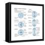 Mitosis, Somatic Cell Division, Biology-Encyclopaedia Britannica-Framed Stretched Canvas