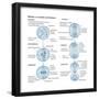 Mitosis, Somatic Cell Division, Biology-Encyclopaedia Britannica-Framed Poster