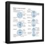 Mitosis, Somatic Cell Division, Biology-Encyclopaedia Britannica-Framed Poster