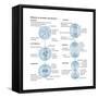 Mitosis, Somatic Cell Division, Biology-Encyclopaedia Britannica-Framed Stretched Canvas