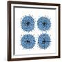 Mitosis Three-Jan Weiss-Framed Art Print