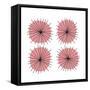 Mitosis Two-Jan Weiss-Framed Stretched Canvas