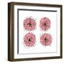 Mitosis Two-Jan Weiss-Framed Art Print