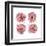 Mitosis Two-Jan Weiss-Framed Art Print