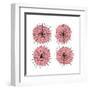 Mitosis Two-Jan Weiss-Framed Art Print