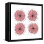 Mitosis Two-Jan Weiss-Framed Stretched Canvas