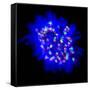 Mitosis-Dr. Paul Andrews-Framed Stretched Canvas