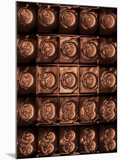 Mitosis-Dr. Paul Andrews-Mounted Photographic Print