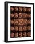 Mitosis-Dr. Paul Andrews-Framed Photographic Print