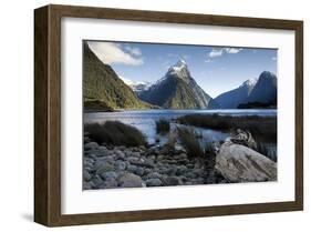 Mitre Peak Milford New Zealand-null-Framed Art Print