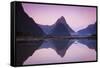 Mitre Peak, Milford Sound, Fiordland National Park, South Island, New Zealand-Doug Pearson-Framed Stretched Canvas