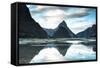 Mitre Peak, Milford Sound, Fiordland National Park, South Island, New Zealand-Doug Pearson-Framed Stretched Canvas