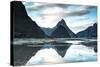 Mitre Peak, Milford Sound, Fiordland National Park, South Island, New Zealand-Doug Pearson-Stretched Canvas