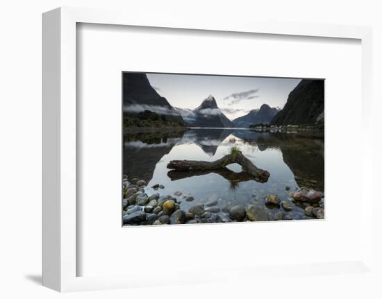 Mitre Peak, Milford Sound, Fiordland National Park, South Island, New Zealand-Ed Rhodes-Framed Photographic Print