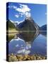 Mitre Peak, Milford Sound, Fjordland National Park, South Island, New Zealand-David Wall-Stretched Canvas