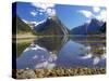 Mitre Peak, Milford Sound, Fjordland National Park, South Island, New Zealand-David Wall-Stretched Canvas