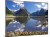 Mitre Peak, Milford Sound, Fjordland National Park, South Island, New Zealand-David Wall-Mounted Photographic Print