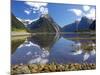 Mitre Peak, Milford Sound, Fjordland National Park, South Island, New Zealand-David Wall-Mounted Photographic Print