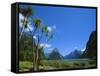 Mitre Peak, Milford Sound, Otago, South Island, New Zealand, Pacific-Neale Clarke-Framed Stretched Canvas