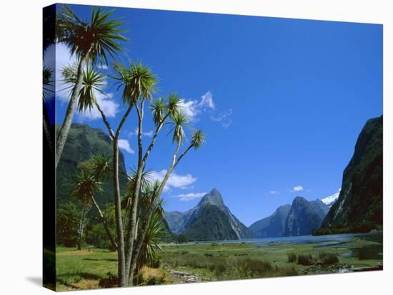 Mitre Peak, Milford Sound, Otago, South Island, New Zealand, Pacific-Neale Clarke-Stretched Canvas