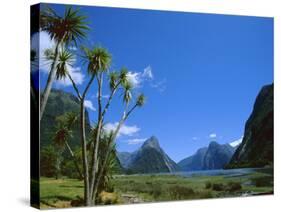 Mitre Peak, Milford Sound, Otago, South Island, New Zealand, Pacific-Neale Clarke-Stretched Canvas