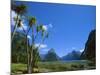 Mitre Peak, Milford Sound, Otago, South Island, New Zealand, Pacific-Neale Clarke-Mounted Photographic Print