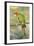 Mitred Conure-null-Framed Photographic Print