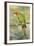 Mitred Conure-null-Framed Photographic Print