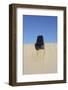 Mitsubishi Delica Space Gear V6 1996 in sand dunes New South Wales Australia-null-Framed Photographic Print