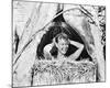 Mitzi Gaynor - South Pacific-null-Mounted Photo