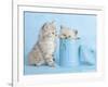 Mitzy & Lizzy-Rachael Hale-Framed Art Print