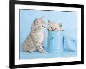 Mitzy & Lizzy-Rachael Hale-Framed Art Print