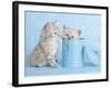 Mitzy & Lizzy-Rachael Hale-Framed Art Print