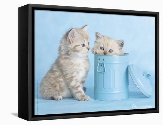 Mitzy & Lizzy-Rachael Hale-Framed Stretched Canvas