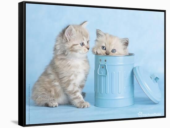 Mitzy & Lizzy-Rachael Hale-Framed Stretched Canvas