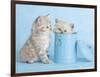 Mitzy & Lizzy-Rachael Hale-Framed Art Print