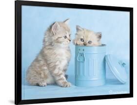 Mitzy & Lizzy-Rachael Hale-Framed Art Print