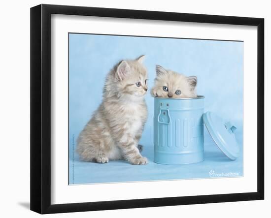 Mitzy & Lizzy-Rachael Hale-Framed Art Print