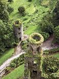 High Angle View of Towers, Blarney Castle, County Cork, Ireland-Miva Stock-Photographic Print