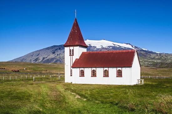 Premium Photographic Print, , large